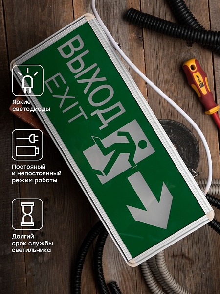 Светильник аварийно-эвакуационного освещения EXIT-201 двухсторонний LED EKF Basic