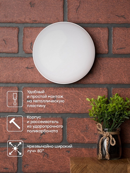 Светильник светодиодный ЖКХ круг ДПО-2002 12Вт 4000K IP65 LUMA EKF