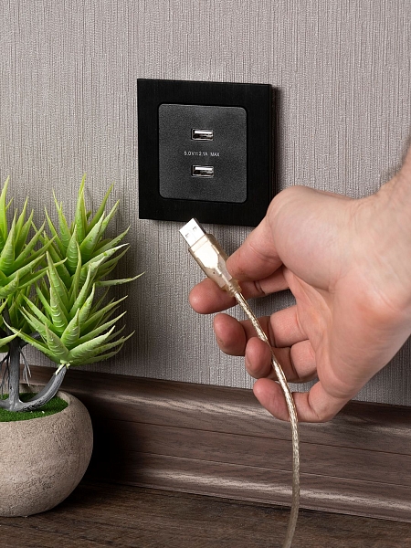 Стокгольм Механизм Розетки USB 2-местной 2,1А винтовые клеммы черный EKF